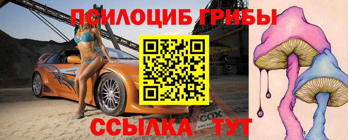 Псилоцибиновые грибы Psilocybine cubensis  Вход с VPN  Галлюциногенные грибы прущие грибы  Бор 